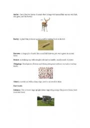 English Worksheet: Definitions