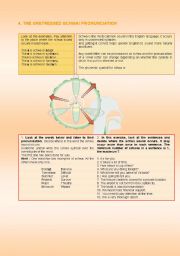 English Worksheet: UNSTRESSED SCHWA