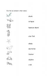 English worksheet: sea animals