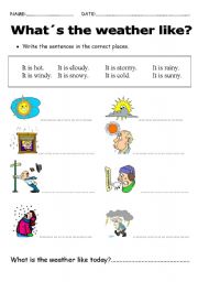 English Worksheet: whats the weather like?