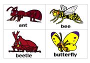 English Worksheet: Insects