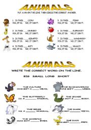 English worksheet: animals basic