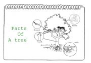 Parts of a tree I