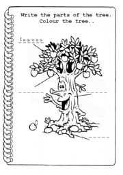 English Worksheet: parts of a tree 2