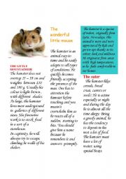 English worksheet: The hamster