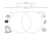 English worksheet: Conpare and contrast schools using a Venn Diagram