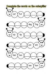 English Worksheet: phonics caterpillar