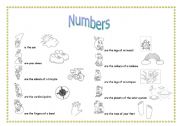 English Worksheet: NUMBERS