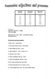 English worksheet: Possessive adj and pronouns