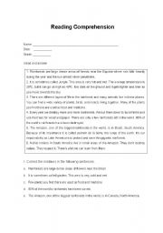 English worksheet: Reading Comprehension