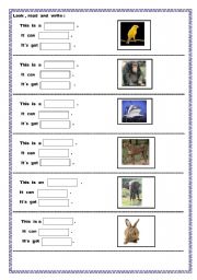 English worksheet: animals , actions and parts of their bodies