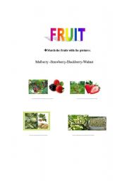 English worksheet: frut-1