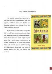 English worksheet: animals