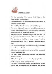 English Worksheet: Australian animals part 2