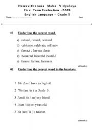 English Worksheet: First Term Evaluation 
