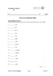 English Worksheet: Using Indefinite Articles 1