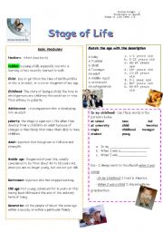 English Worksheet: Stages of life