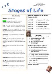 English Worksheet: Stages of life 