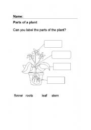 English Worksheet: Label the plant