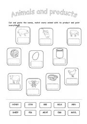 English Worksheet: ANIMALS AND THEIR PRODUCTS