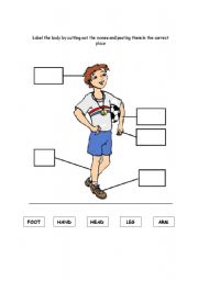 English worksheet: Parts of the body