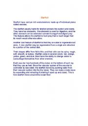 English Worksheet: starfish