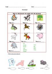 English worksheet: Animals and other words