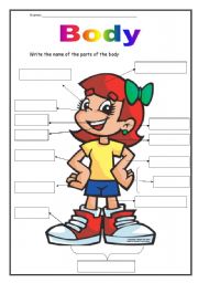 English Worksheet: body