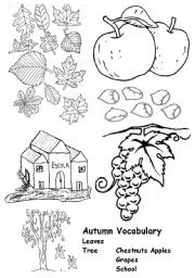 English Worksheet: autumn vocabulary