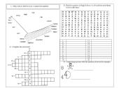 English Worksheet: Numbers