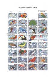 A MEMORY GAME-BIRDS