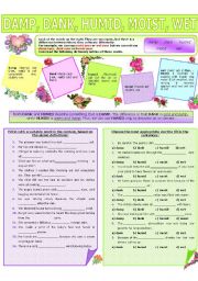 English Worksheet: COLLOCATION 8 - DAMP, DANK, HUMID, MOIST, WET