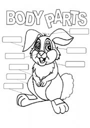 English Worksheet: Lable the parts of the bunny