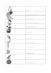 English Worksheet: Food