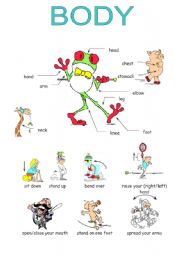 English Worksheet: body parts