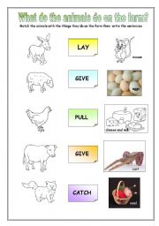 English worksheet: What do the animals do on the farm?