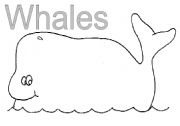 English worksheet: whale poem template