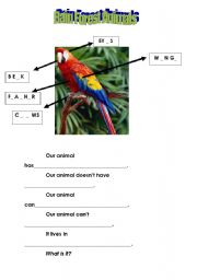 English worksheet: Rainforest animals and body parts