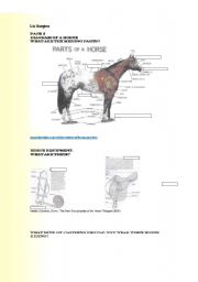 Horses Part 1