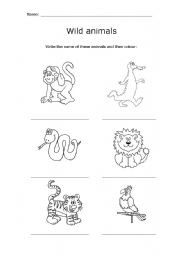 English worksheet: Wild animals