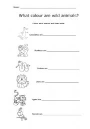 English worksheet: What colour are wild animals?