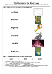 English Worksheet: Wildlife in Australia