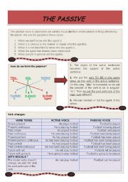 THE PASSIVE VOICE