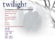 English Worksheet: twilight movie activity