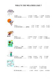 English Worksheet: Weather Conditions Test