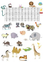 Animal wordsearch