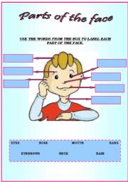 Parts of the face...USE THE WORDS FROM THE BOX TO LABEL EACH PART.