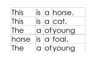 English worksheet: Animal theme sentence structure