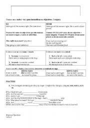 English Worksheet: the use of SO and SUCH