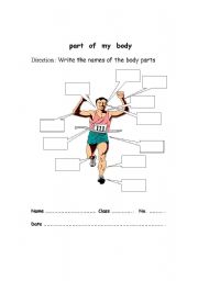 English worksheet: part of the body